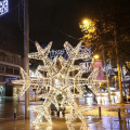 Christmas Rope Light Motifs